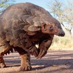 Masjid Sheikh Muslihiddin, Tajikistan