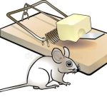 Sharhi: Tattalin Arziki