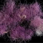 Yadda Sauyin Yanayi Zai Rusa Wuraren Tarihin Afirka