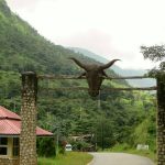 Yadda Bikin Bajekolin Fasahohin Ghana Ya Haskaka Yankin Volta