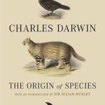 Yadda Bikin Bajekolin Fasahohin Ghana Ya Haskaka Yankin Volta