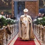 Raƙumin Dawa: Abin da Ya Kamata Ku Sani Game da Wannan Dabbar