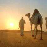 Yadda aka gudanar da bikin Kamun Kifi na Argungu