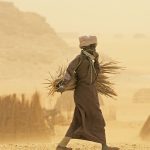 Mun Yi Rijistar Haihuwa 36,000 a Kano Cikin Watanni Tara – NPC